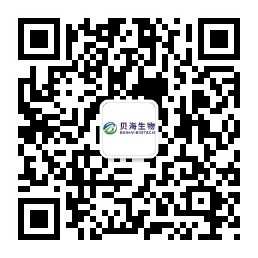 Wechat Official Account